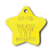 BN-163 BRASS - BN-163 Brass Dog Tag