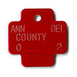 BN-180 Stainless Dog Tag