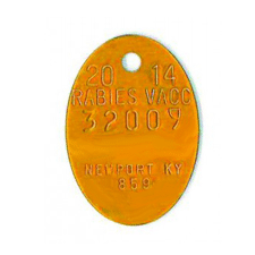 BN-227 Brass Dog Tag