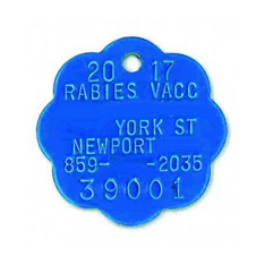 BN-247 Brass Dog Tag