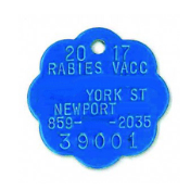 BN-247 BRASS - BN-247 Brass Dog Tag