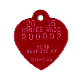 BN-298 Brass Dog Tag