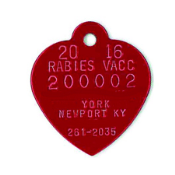 BN-298 BRASS - BN-298 Brass Dog Tag