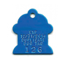 BN-373 Brass Dog Tag