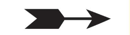 SS-174 AutoMark Stock Stamp