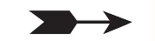 SS-174 - SS-174 AutoMark Stock Stamp